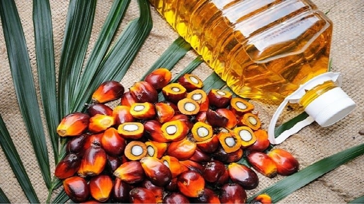 Palm oil and CVD risk: No evidence of increase in disease biomarkers relative to other UFAs