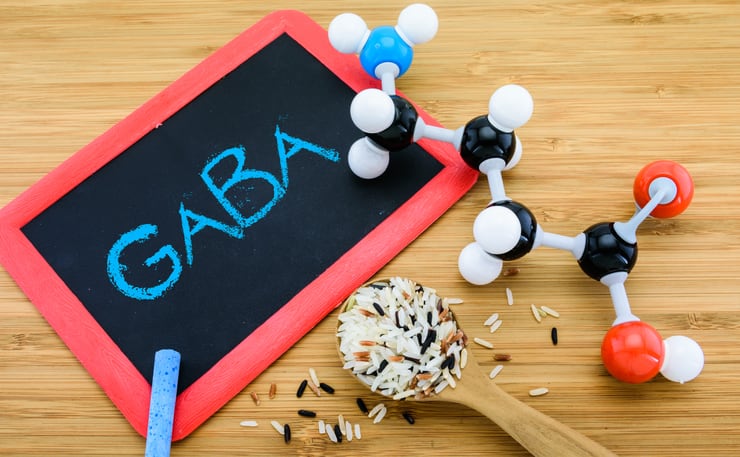 Japan’s FFCs popular ingredients revealed: GABA tops the chart, while soybean beta-conglycinin on the rise