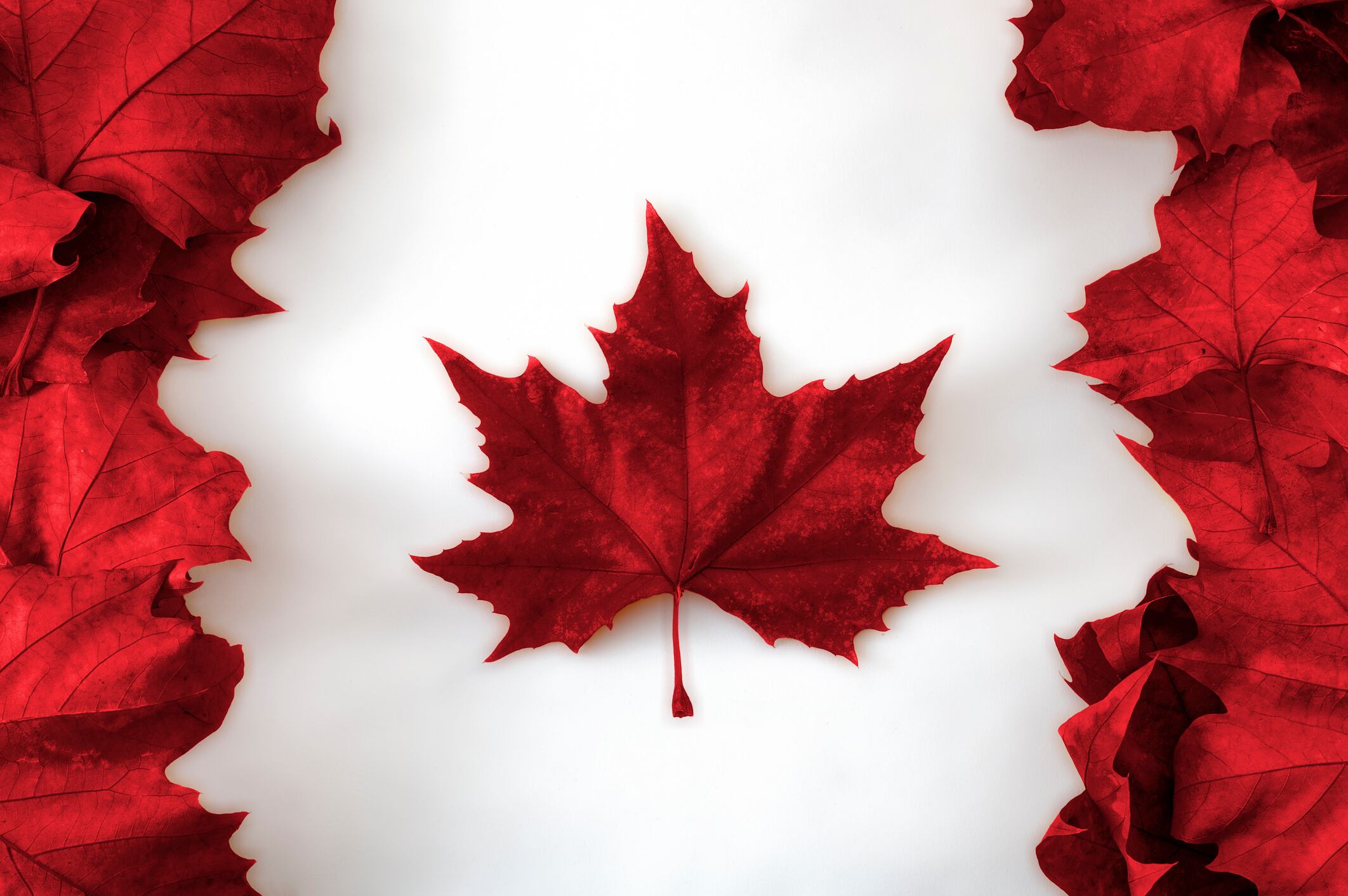Health-Canada-grants-additional-functional-claims-to-KSM-66-Ashwagandha.jpg