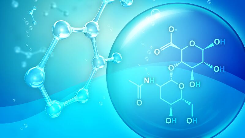 ‘No authoritative evidence’: China consumer body raises doubts over efficacy of hyaluronic acid in foods 