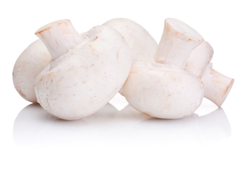 Mushrooms may exert prebiotic, diabetic risk-lowering effect, suggests study 