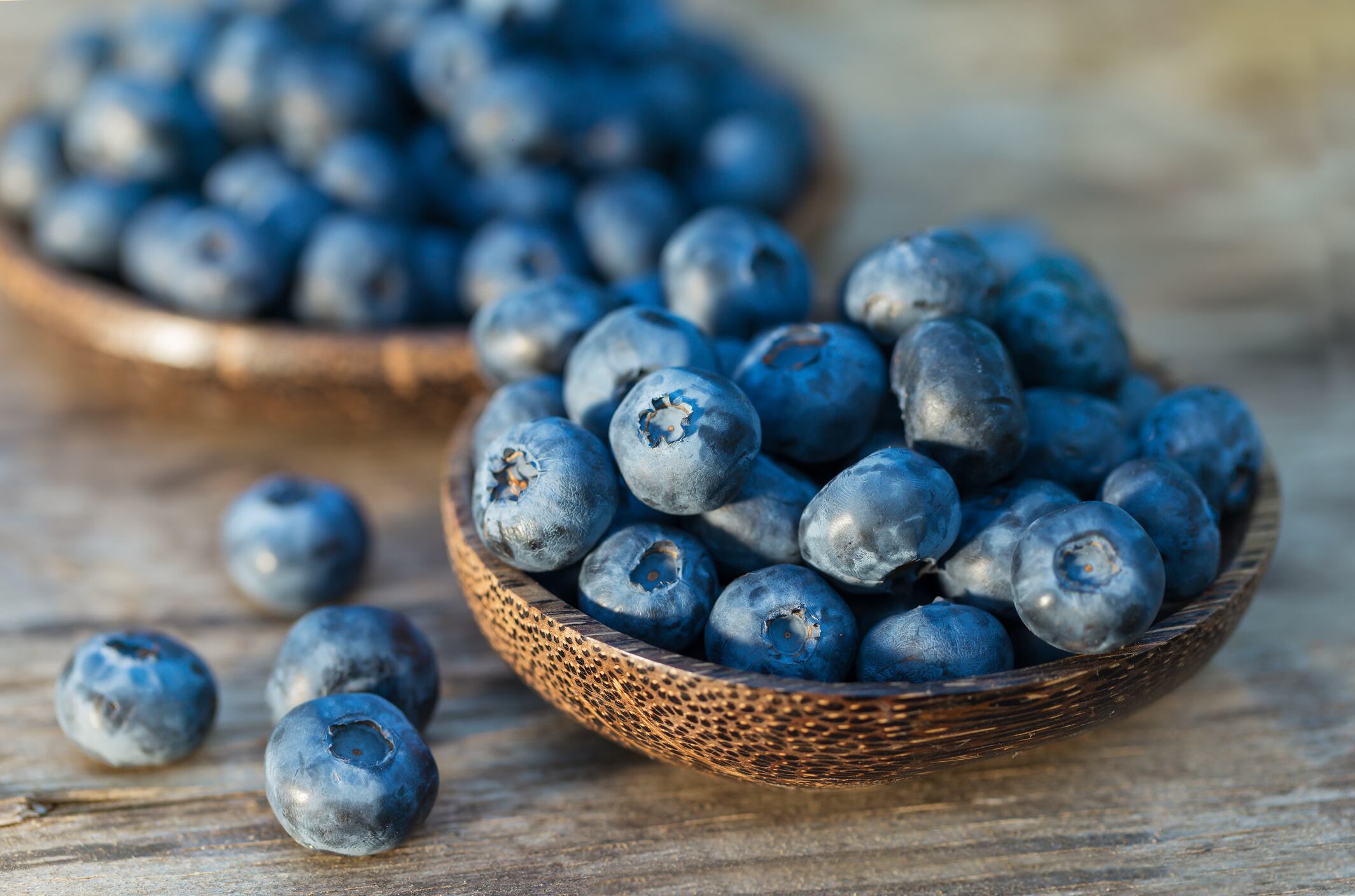Packing a punch: Blueberries could be next non-dairy food where probiotics, prebiotics 'make their mark'