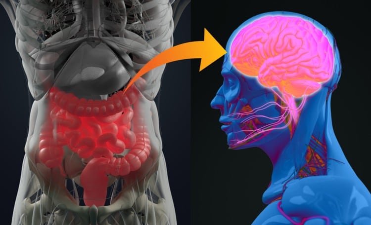 Psychobiotic RCTs: Bened to trial PS128 on Tourette and Rett syndrome patients following new findings on Parkinson’s
