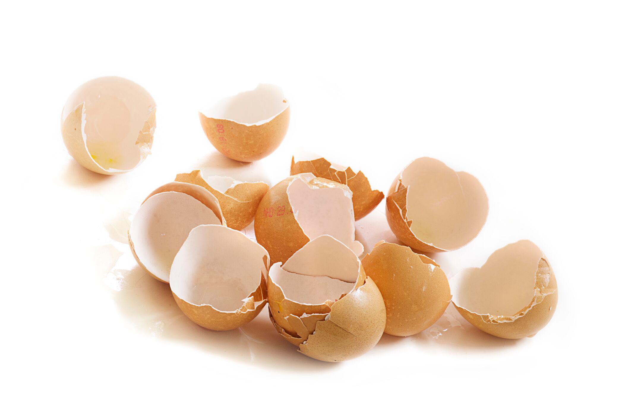 RCT supports efficacy of hydrolyzed eggshell membrane ingredient for hair and skin