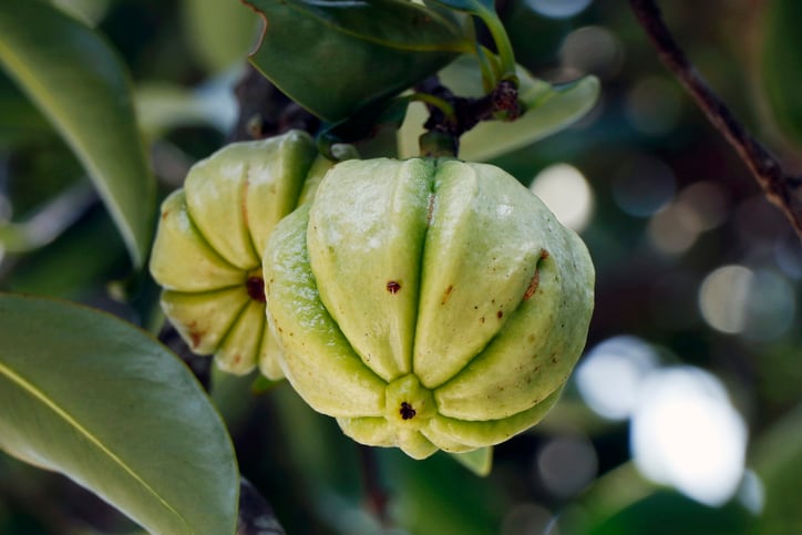 Australia’s TGA plans to add liver injury warning to weight management ingredient