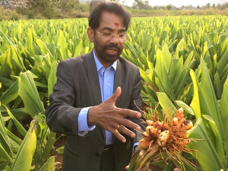 Contract-farming-system-solidifies-Sabinsa-s-supply-chain_wrbm_large.jpg