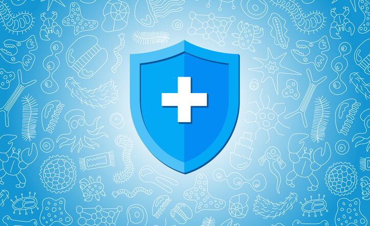 Not just vitamins: Immunity product innovation turns its attention to synergistic, novel ingredient combinations