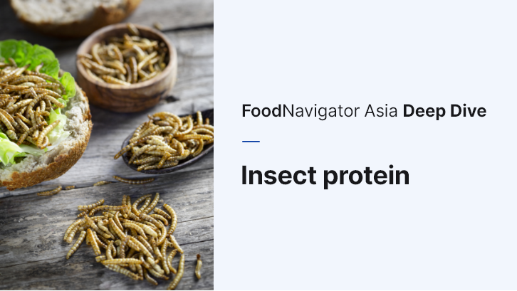 Go big for bugs: APAC insect protein sector needs substantial big brand and retailer support to move past longstanding 'nascent' stage