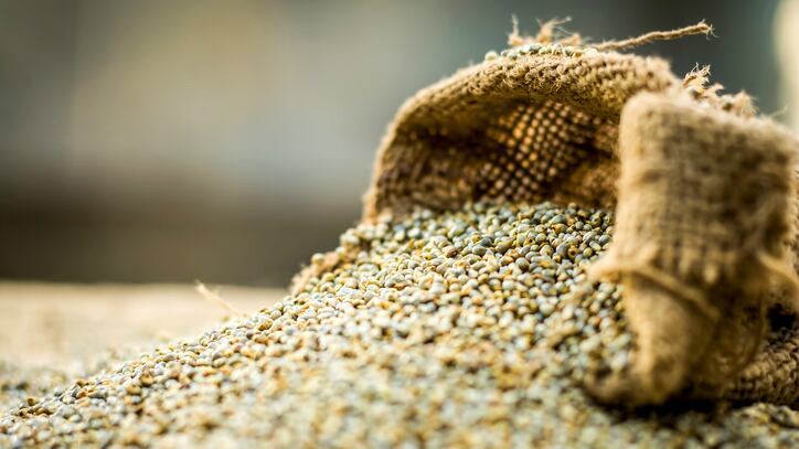 Malnutrition-free-India-Government-sets-standards-for-pearl-millet-fortification.jpg