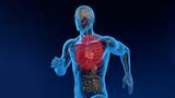 Ubiquinol: Clinically-proven to help maintain healthy energy levels