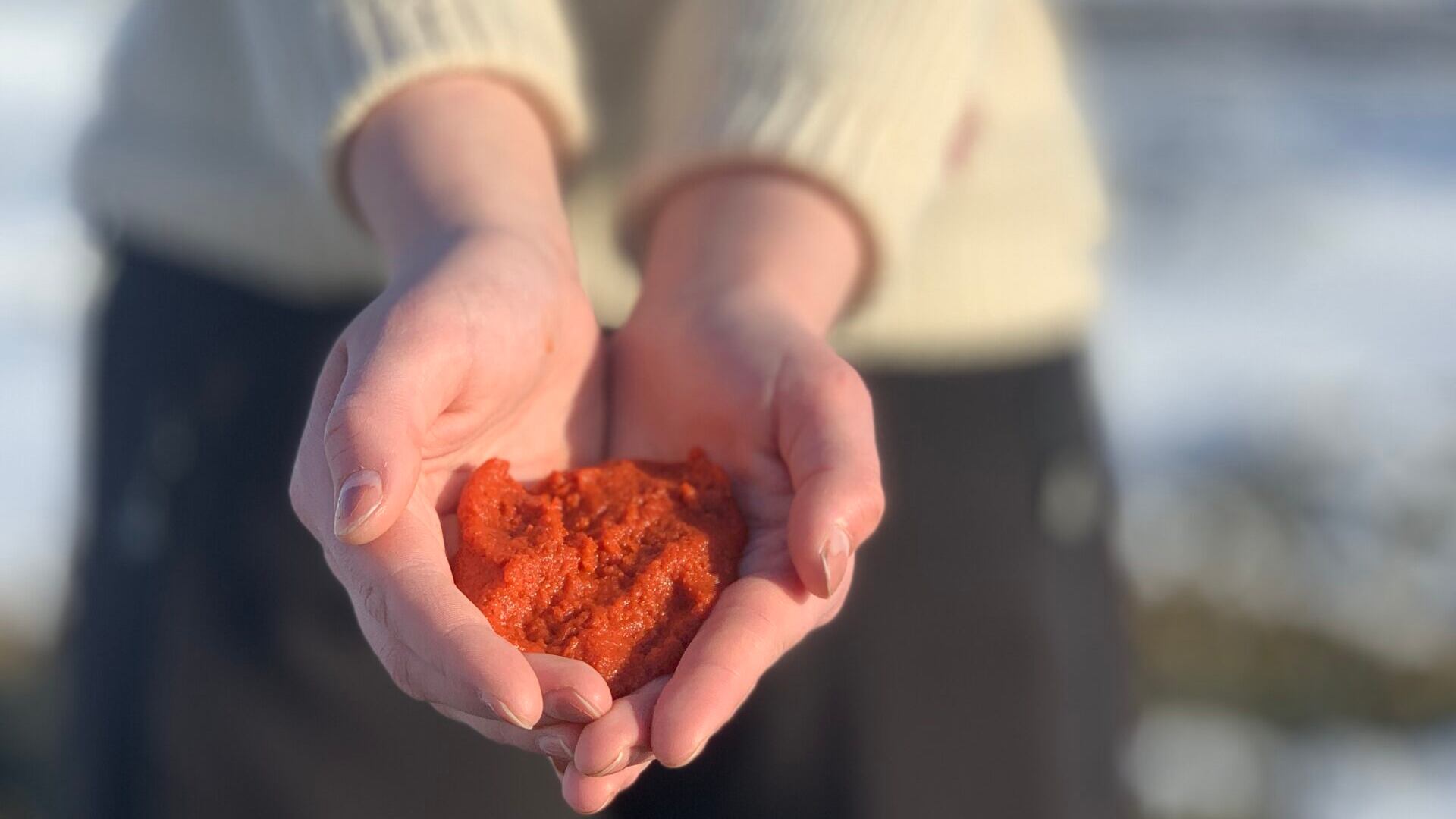 Beyond omega 3: Zooca eyes China, taps big nutrient potential from small zooplankton species