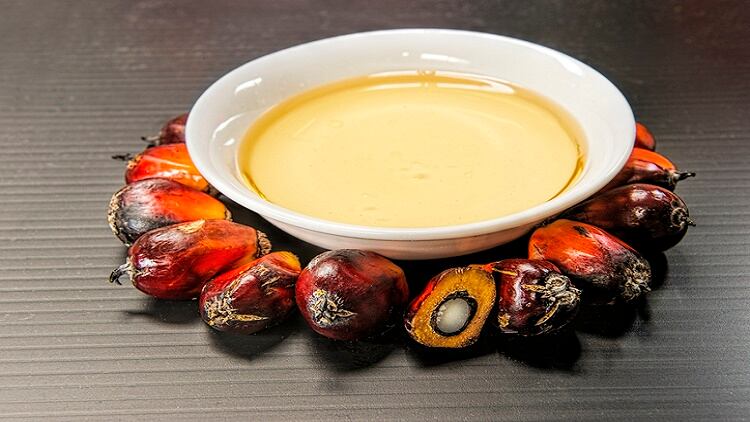 Palm-oil-tocotrienol-can-now-make-cognitive-health-antioxidant-claims-in-Malaysia.jpg