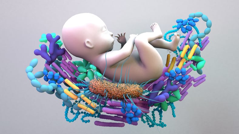 Prebiotic intake during pregnancy and breastfeeding benefits infant health – latest study
