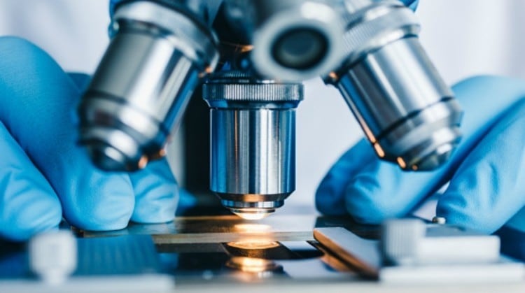 Asahi opens innovations company to drive R&D in health food ingredient use