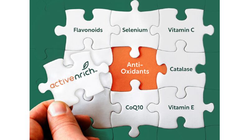 Business boost: CJ FNT gets a foot in active and sports nutrition with its new functional ingredients brand