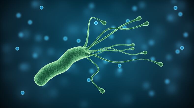 Folic acid boosts treatment outcomes in stomach condition linked to H. pylori: China study