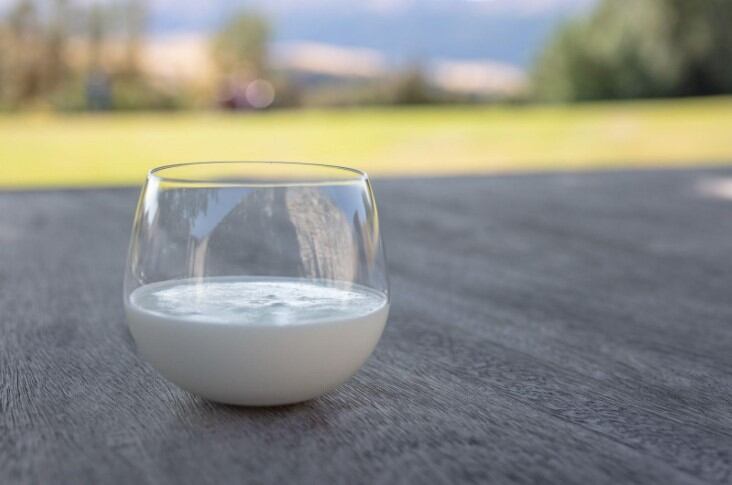Pāmu ventures into deer milk supplements, cites Vietnam, China and Taiwan as attractive markets