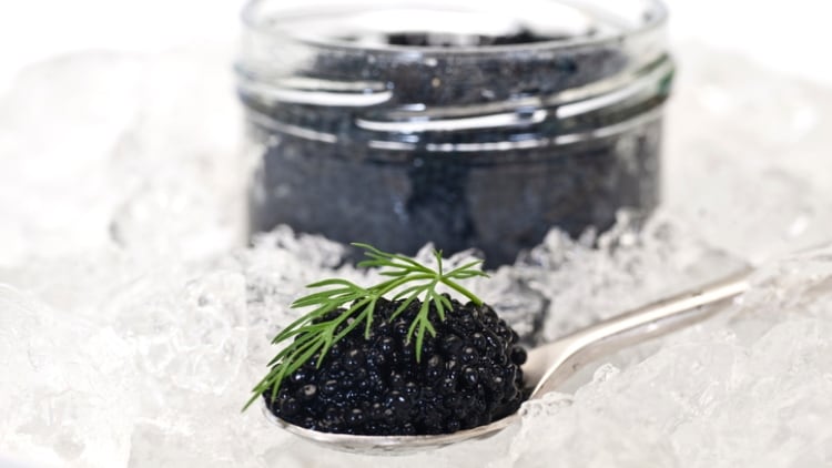 New RCT demonstrates caviar extracts’ positive impact on skin ageing