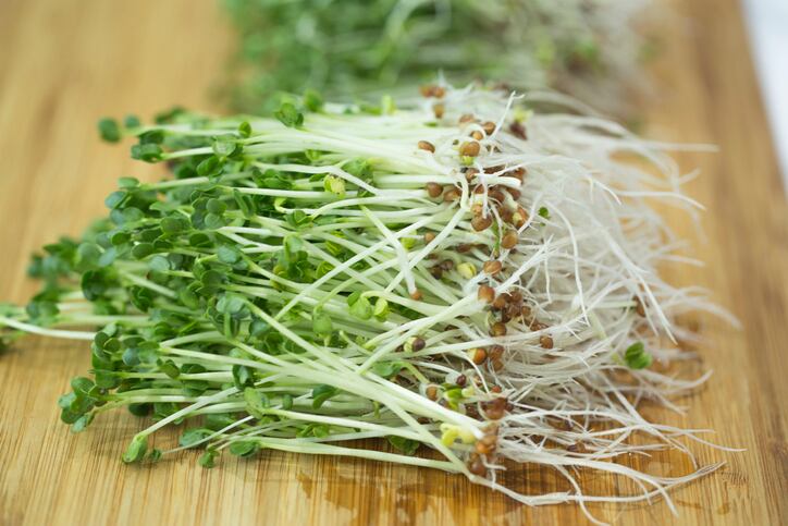 Sleep-and-sprout-Broccoli-extract-increases-melatonin-in-Japanese-adults-experiencing-poor-sleep-Trial.jpg