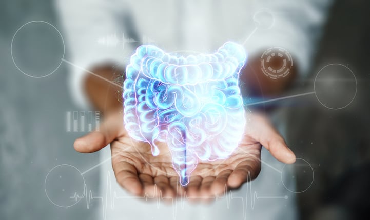 Gut microbiome and blood lipids: Blood cholesterol reduction linked with growth in Clostridia leptum