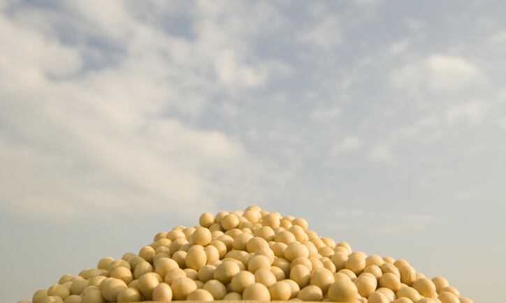 Possible-causal-association-between-soy-isoflavone-intake-and-breast-cancer-risk-biomarker-Malaysia-12-month-RCT.png