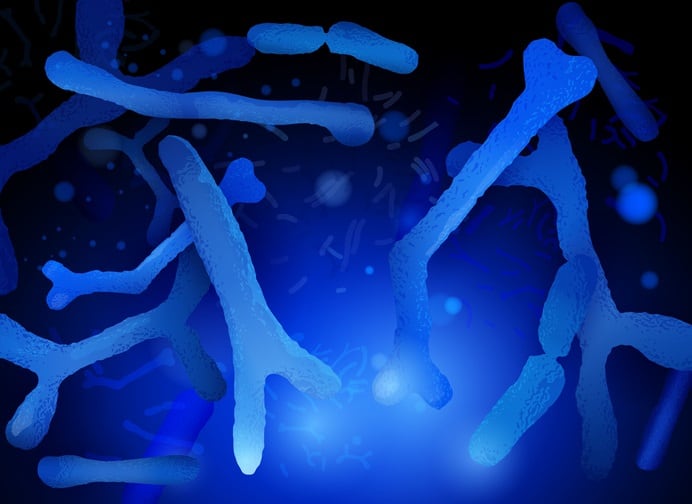 bifidobacterium.jpg