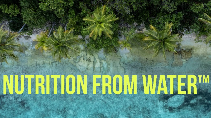 New Zealand’s Nutrition From Water accelerating scale-up of microalgae-based whey to launch in Japan, Europe and US