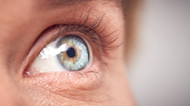 Brain-eye axis: New Zealand firms reveal potential of nootropics for eye health