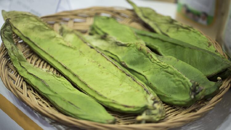 New-immunity-booster-South-Korean-researchers-say-sword-bean-burdock-extract-enhances-immunity-in-eight-week-trial.png