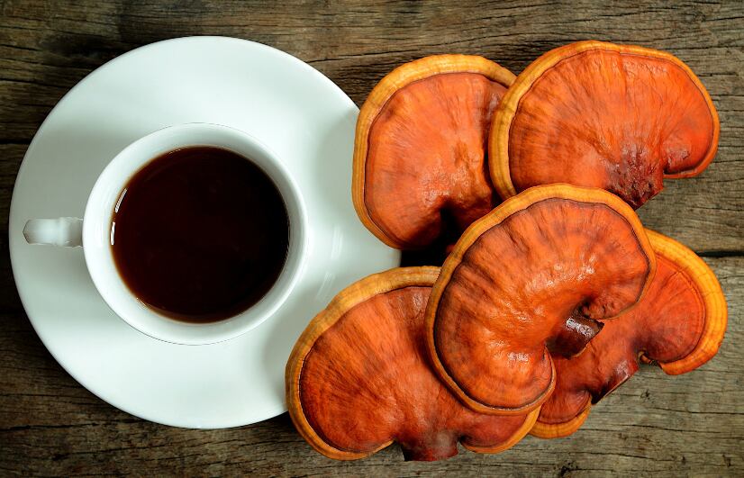 Tea and mushrooms: Two promising targets for tackling cognitive decline ‘amid failure of big pharma’