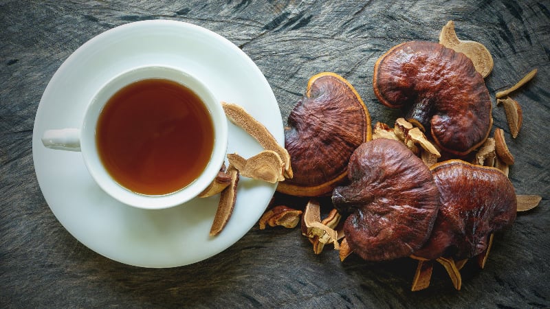 China’s GanoHerb looks to capture white spaces for ganoderma products in Middle East