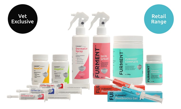 Postbiotics for pets: Singapore firm develops range for four key health concerns