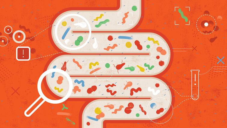 Early-life exposure to Great Chinese Famine linked to gut microbiome disruption, greater type 2 diabetes risk: Cohort study