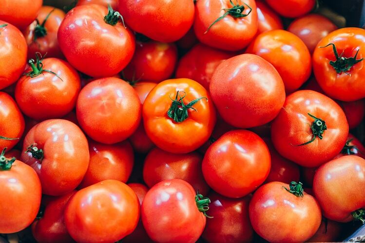 Tomato-phytonutrient-supplement-linked-to-skin-protection-benefits.jpg