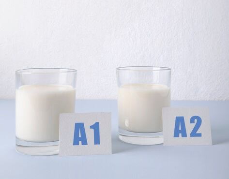 A1-vs-A2-milk.jpg
