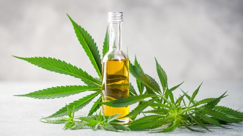 COVID-19 rule revision: South Korea fixes CBD limits for hemp foods and establishes meal kits as new food category