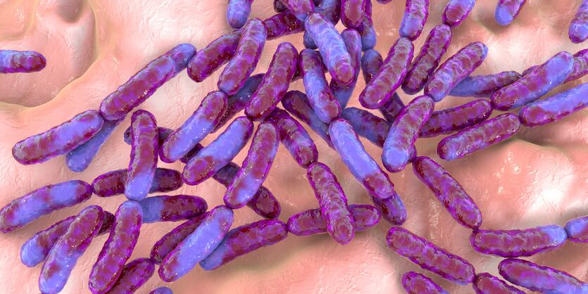 GanedenBC30 lands probiotic claims in Australia and New Zealand