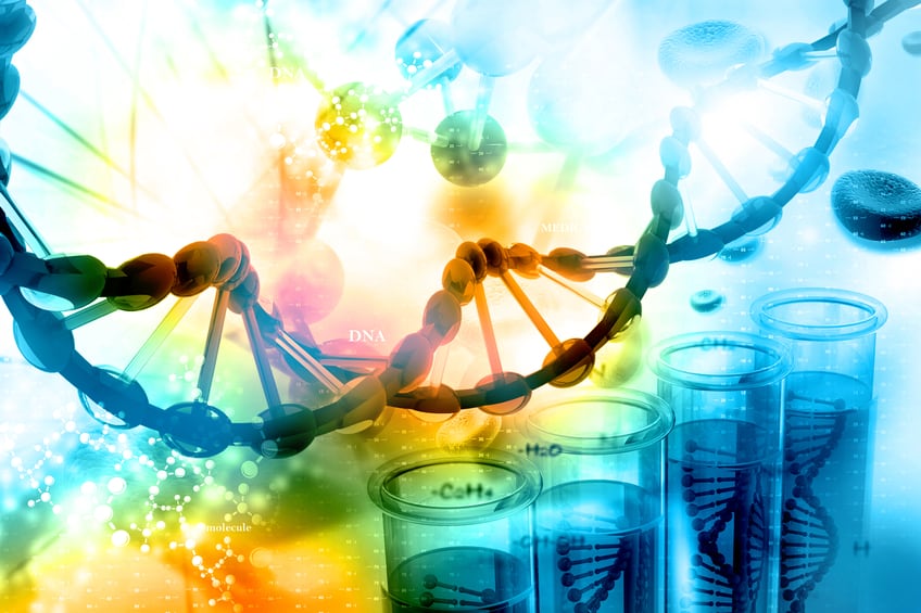 Study offers more evidence for personalised diets, even with identical twins