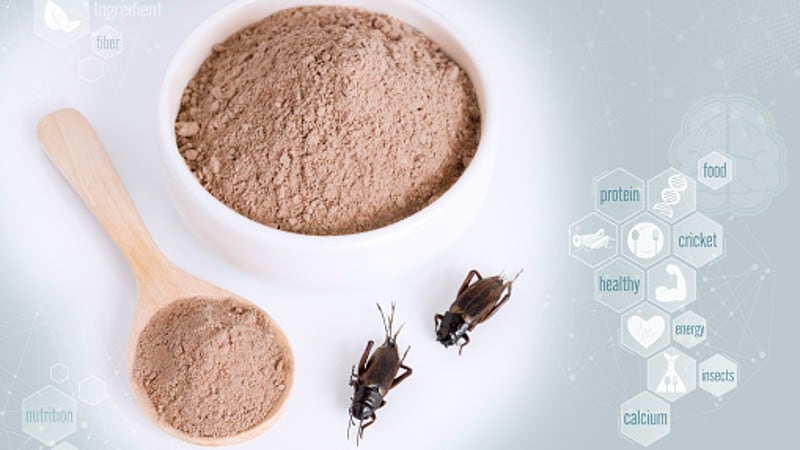 Regulatory renaissance: APAC insect protein sector has ‘much to learn’ from plant-based products