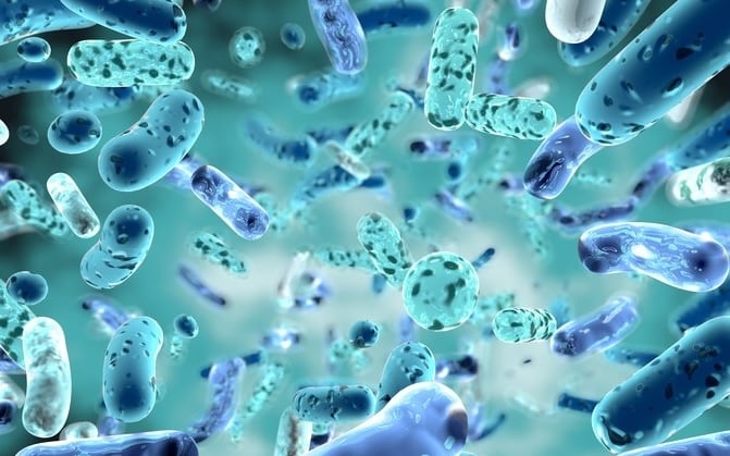 Probiotics, prebiotics reduce inflammation and maintain gut health for healthy ageing — Japanese review