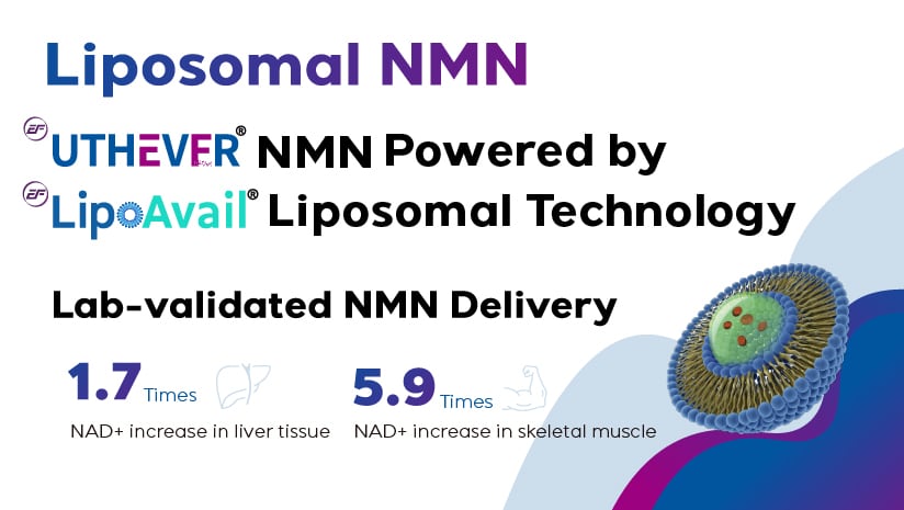 Novel LipoAvail® Liposomal NMN Elevates 6X NAD+  