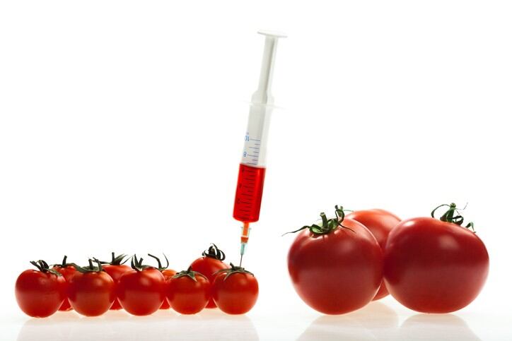 GM in NZ: Food industry backs regulator’s push to update regulations amid tech advances 