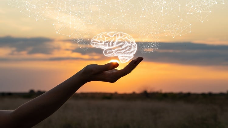 ‘No single, simple solution’: Why a holistic approach is key to improving cognitive health - BioCeuticals