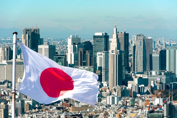 A picture showing the panoramic view of Tokyo and Japan's national flag.