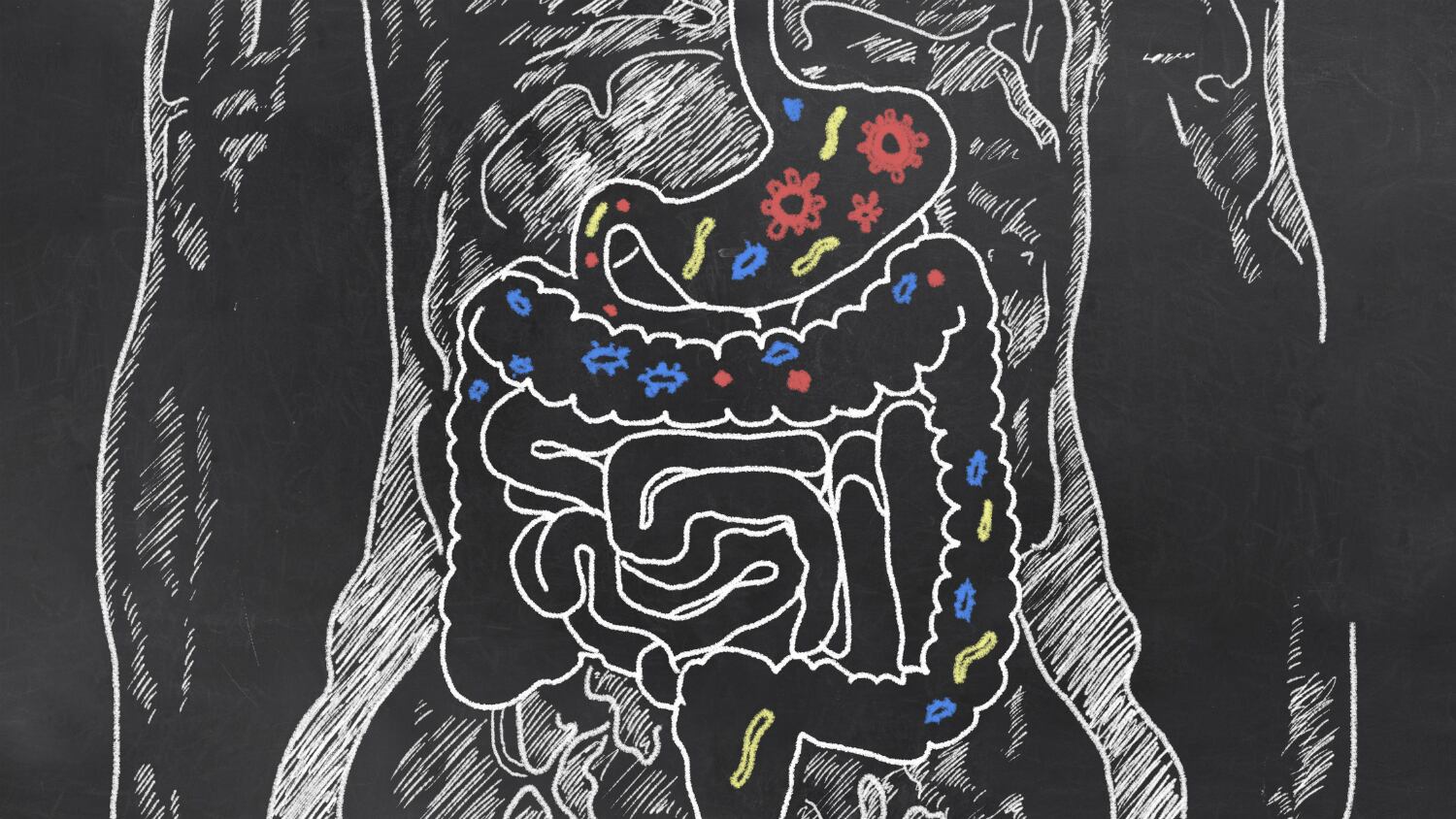 Strain gain: Microbiome research uncovers 100 new species with commercial and therapeutic opportunities
