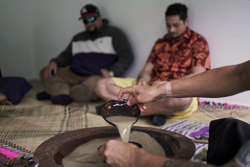 Kava-therapy-NZ-study-to-explore-traditional-kava-use-in-treating-PTSD.jpg