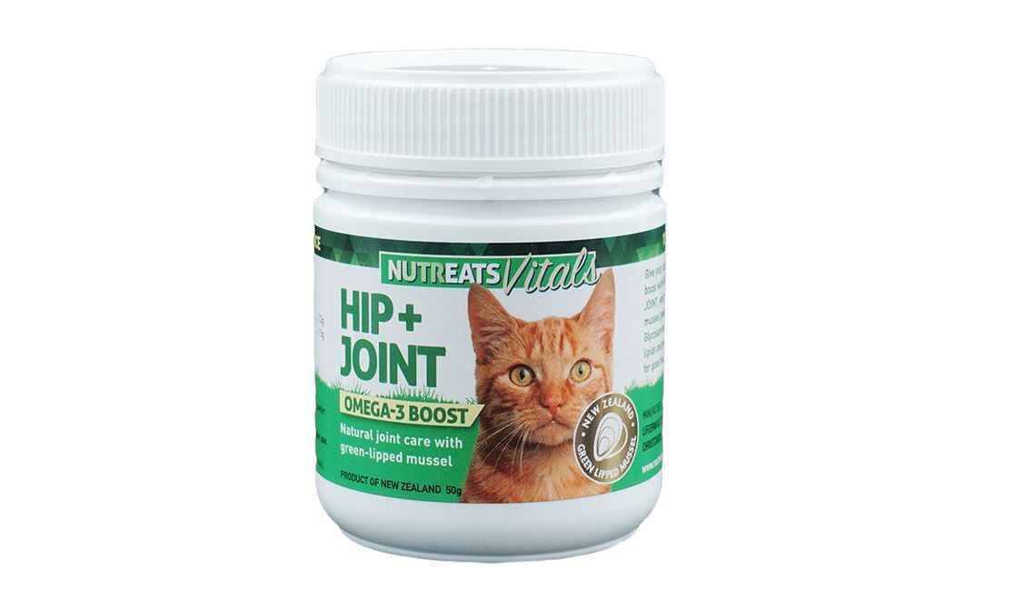 Mussel-ing in on China: NZ’s Nutreats taps growing pet ownership with new arthritis cat supplement