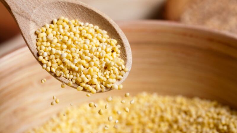 Ancient grains, new formats: Nestle India puts millets at the centre of new product innovation efforts 