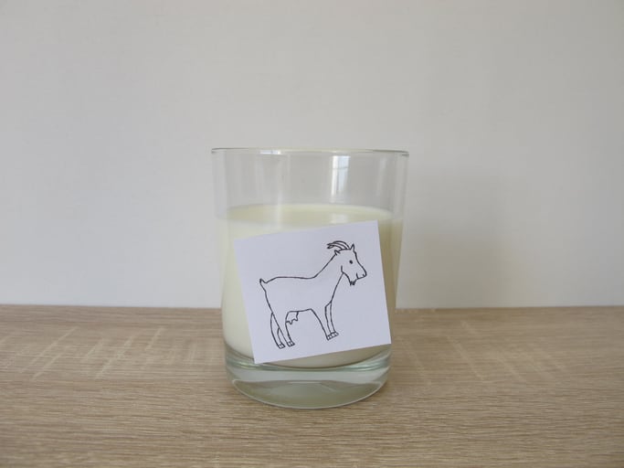 China-formula-contamination-Mineral-oil-hydrocarbon-found-in-all-goat-dairy-products-tested.jpg