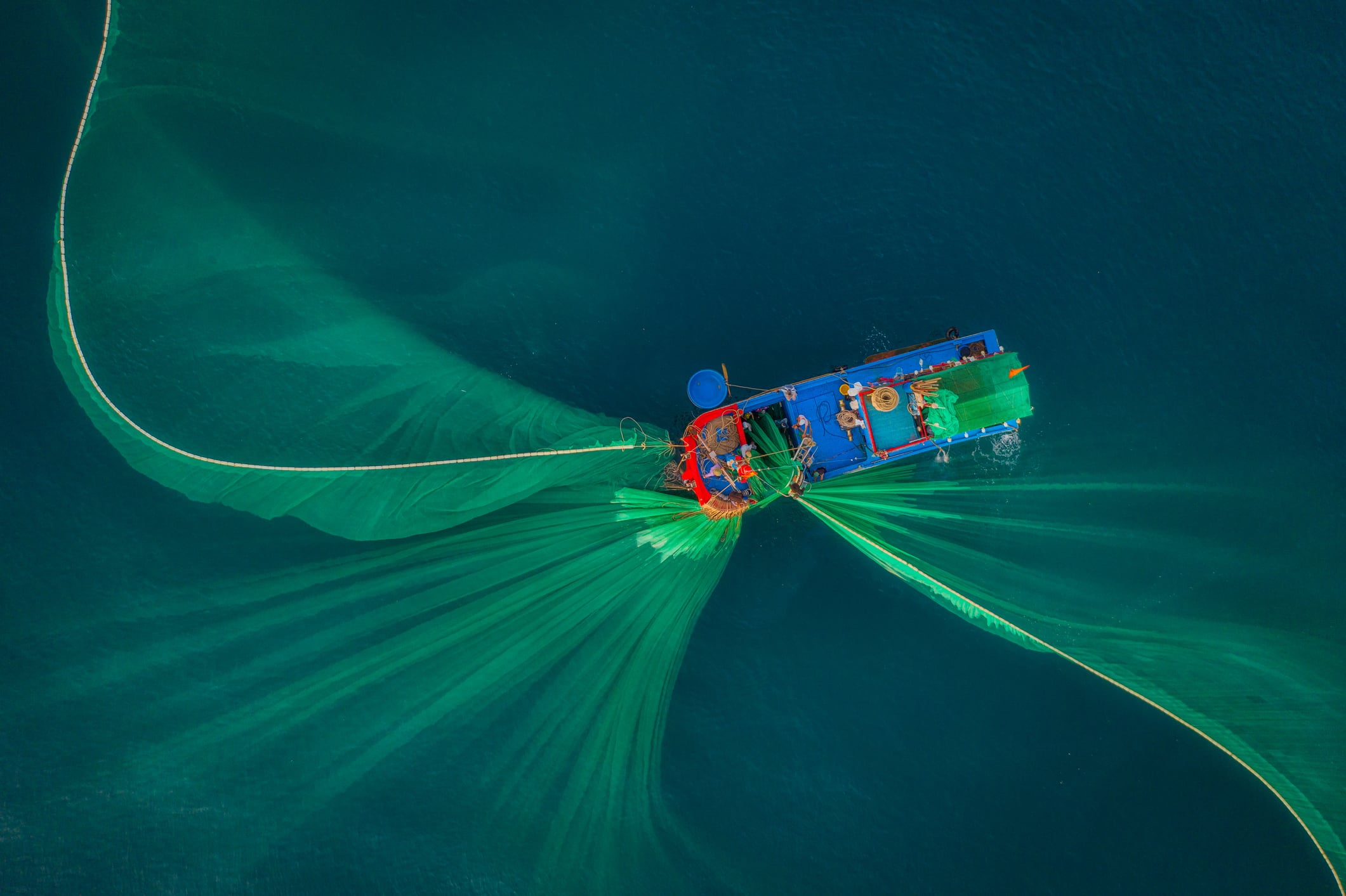 Peruvian anchovy fishing season authorised to commence